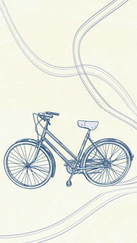 International-bike