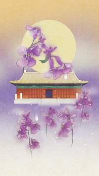 寓意吉祥之花开富贵