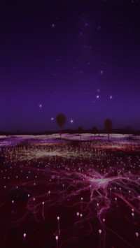 萤星璀璨