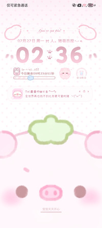 多图 萌猪万事无忧