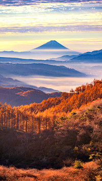 Mount fuji and autumn morning mist