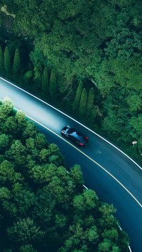 The car crossed the forest road