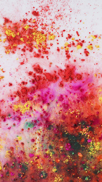 India-Holi (28)