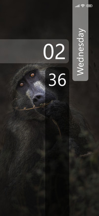 Capuchin