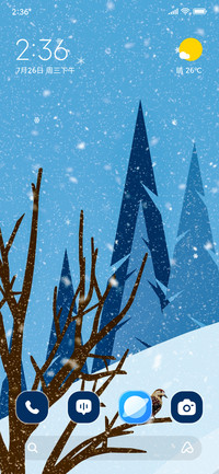 Winter Forest