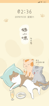 猫小咪的日常