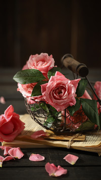 The fragrance of roses never stops