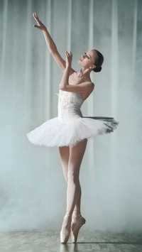 Fashionable and elegant ballet 42