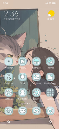 Eye contact cats