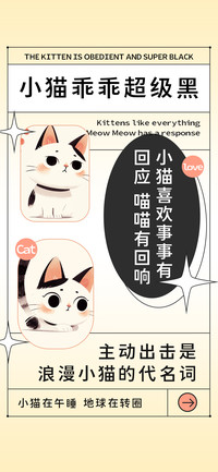 小猫乖乖超级黑