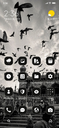 Monochrome