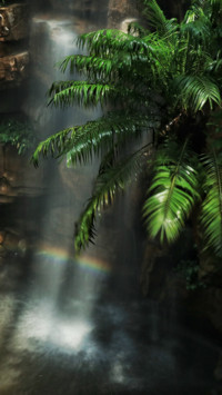 Indonesia (18)