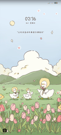 郁金香花园鸭鸭游记