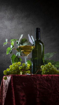Wine and Grapes: A Taste of Elegance