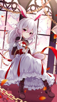 乖乖兔女孩