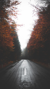 Roads (11)