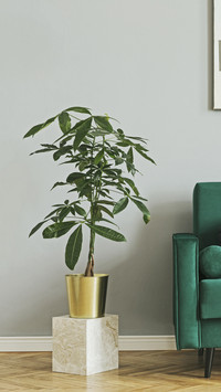How to solve the difficult problems in flower bouquet produc