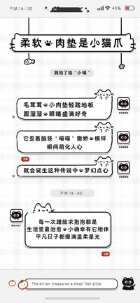 柔软的肉垫是小猫爪