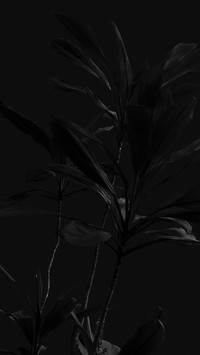 极简黑白