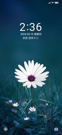 唯美清新花朵