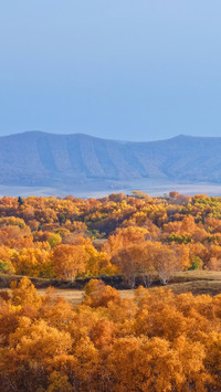 The autumn charm paints all the peaks