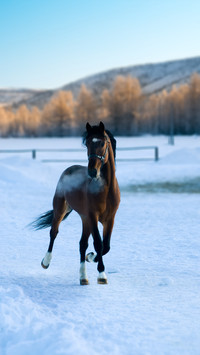 Winter scenery-07