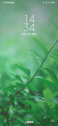 沁绿
