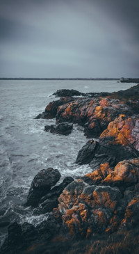 Beauty of Earth 1 (13)
