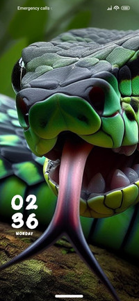 Reptile