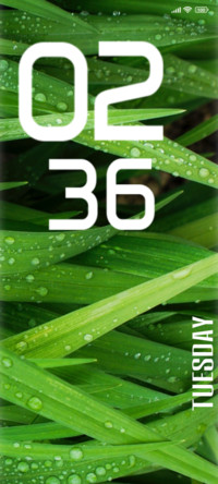 Rain grass