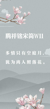 腾祥铭宋简W11
