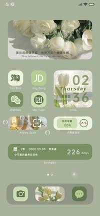 小情绪 抹茶郁金香