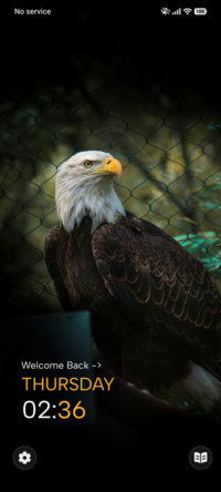 Eagle Watch