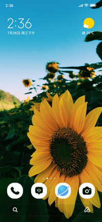 Yellow Bliss