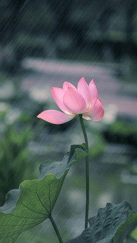 黄梅时节话防“霉”