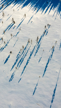 Overlooking the forest of rovaniemi