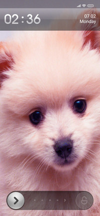 Puppy Fi