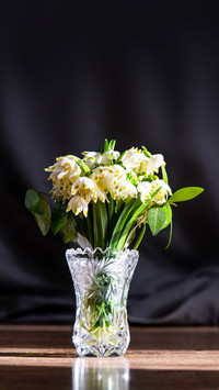 Flowers in a vase of snowdrops