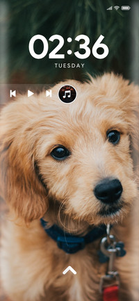 Puppy_Two