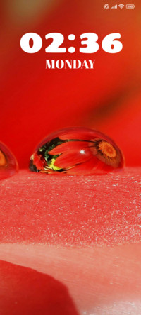 Droplet Flower