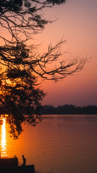 Chhath Puja (3)