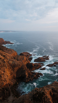Orange coast