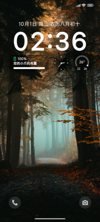 简约秋林晨雾