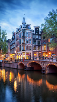 International-amsterdam