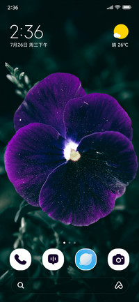 Mystic Purple