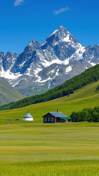 在中国也能看到雪山草地