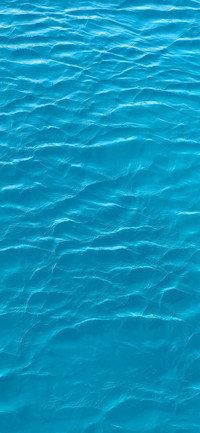 大海