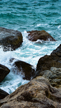 Reef and Ocean