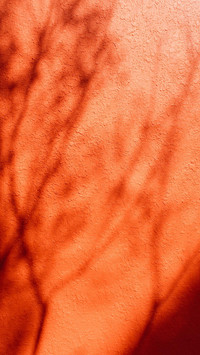 VCG41N1063960956