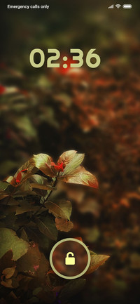BUSH_DWM3